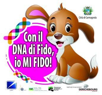 Bisognini abbandonati? Carmagnola 'scheda' 5 mila cani Bisognini abbandonati? Carmagnola 'scheda' 5 mila cani