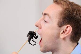 Insetti nel piatto, 4 italiani su 10 disposti a provare Insetti nel piatto, 4 italiani su 10 disposti a provare