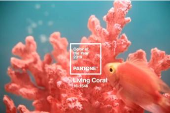 Living Coral è il colore del 2019 per Pantone