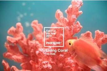 Living Coral è il colore del 2019 per Pantone Living Coral è il colore del 2019 per Pantone