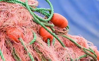 Pesce, oltre 7 mln tonnellate l'anno ributtate in mare Pesce, oltre 7 mln tonnellate l'anno ributtate in mare