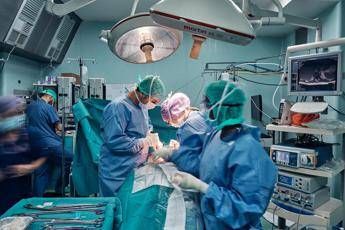 (foto Irccs - Istituto ortopedico Galeazzi, Milano) - Cartilagine naso ripara ginocchio, prima italiana a Milano Cartilagine naso ripara ginocchio, prima italiana a Milano