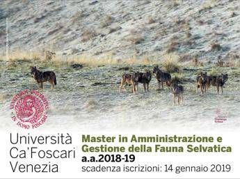 Gestire la fauna selvatica, arriva il master Gestire la fauna selvatica, arriva il master