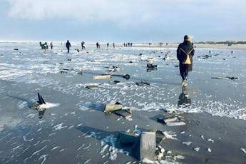 Get Wallpaper Nave Perde Carico Spiaggia Invasa Da Tv E Mobili Ikea For iPhone