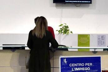 'Cercasi navigator' 'Cercasi navigator'