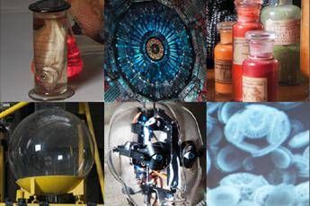 In mostra a Milano 'Una vita da scienziata' In mostra a Milano 'Una vita da scienziata'