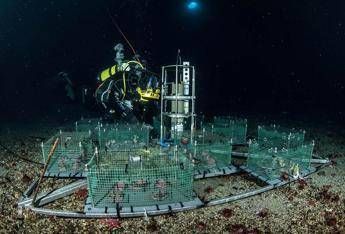 Antartide, il laboratorio sotto i ghiacci che studia il clima Antartide, il laboratorio sotto i ghiacci che studia il clima