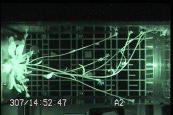 Esa, ecco i lab dove si impara a vivere nello spazio Esa, ecco i lab dove si impara a vivere nello spazio