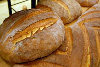 Consumo pane in calo del 40%, è crisi