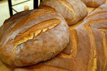 Il pane di Altamura Oropan premiato a Connext Il pane di Altamura Oropan premiato a Connext