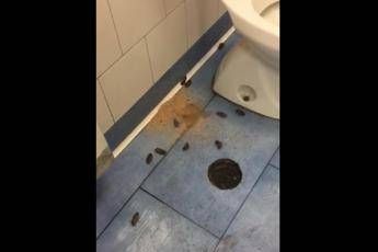 Napoli, blatte all'ospedale Vecchio Pellegrini/Video Napoli, blatte all'ospedale Vecchio Pellegrini/Video