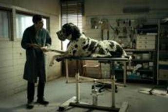 David, ‘Dogman’ fa man bassa di candidature David, ‘Dogman’ fa man bassa di candidature