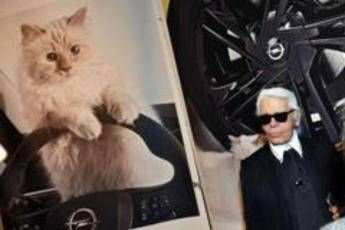 Choupette, la gatta 'ereditiera' di Karl Lagerfeld Choupette, la gatta 'ereditiera' di Karl Lagerfeld