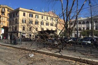 Vento forte al Centrosud, vittime e danni Vento forte al Centrosud, vittime e danni