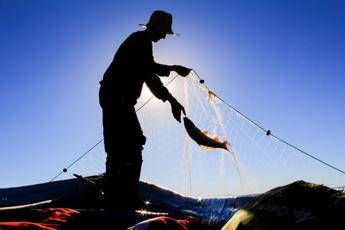 Attrezzi da pesca non biodegradabili, serve alternativa eco-friendly Attrezzi da pesca non biodegradabili, serve alternativa eco-friendly