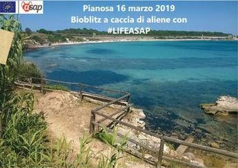 AAA cacciatori di alieni cercasi, in missione nelle aree protette AAA cacciatori di alieni cercasi, in missione nelle aree protette