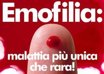 Emofilia, incontro a Roma con bilancio e sfide Emofilia, incontro a Roma con bilancio e sfide