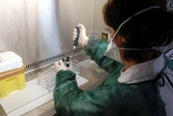 Batterio carnivoro uccide un uomo Batterio carnivoro uccide un uomo