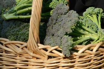 L'odio per i broccoli è 'scritto' nei geni