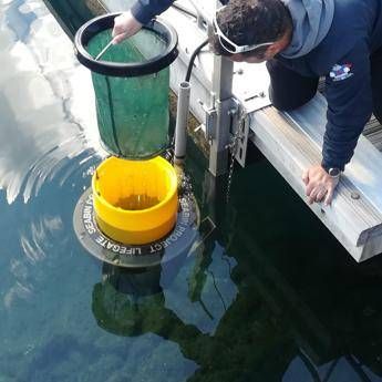 Ambiente: 'Seabin', cestini del mare che raccolgono 500 kg di rifiuti l'anno Ambiente: 'Seabin', cestini del mare che raccolgono 500 kg di rifiuti l'anno