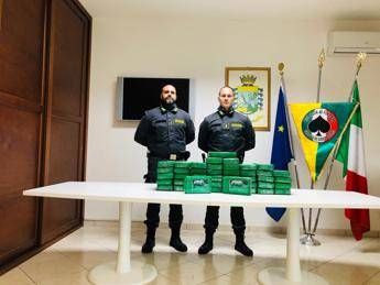 Coca purissima tra la frutta esotica Coca purissima tra la frutta esotica