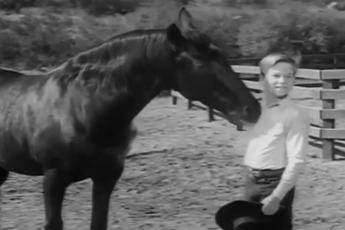 Addio a Bobby Diamond, il ragazzino che domò 'Furia' Addio a Bobby Diamond, il ragazzino che domò 'Furia'