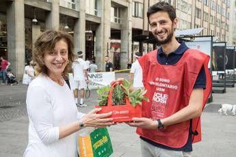 'Erbe Aromatiche di Aism' contro sclerosi multipla 'Erbe Aromatiche di Aism' contro sclerosi multipla