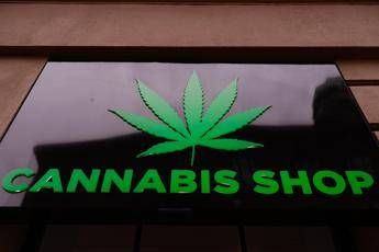 Cannabis light, parla il medico Cannabis light, parla il medico