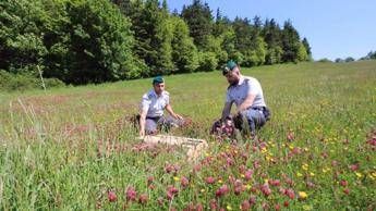 Gdf sequestra 208 uccelli appartenenti a specie protette Gdf sequestra 208 uccelli appartenenti a specie protette
