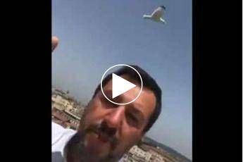 Salvini: A Roma mostri, non gabbiani. E il M5S gli risponde Salvini: A Roma mostri, non gabbiani. E il M5S gli risponde