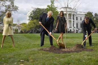 Macron, 'offrirò una nuova quercia a Trump' Macron, 'offrirò una nuova quercia a Trump'