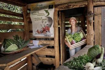 Niente imballaggi né plastica: a Ossana il supermarket green Niente imballaggi né plastica: a Ossana il supermarket green