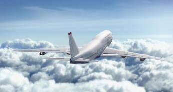 Alberi per compensare emissioni viaggi in aereo Alberi per compensare emissioni viaggi in aereo