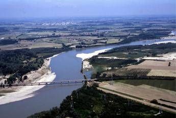 Ambiente, Salsi: Sulle specie aliene bisogna informare e sensibilizzare Ambiente, Salsi: Sulle specie aliene bisogna informare e sensibilizzare