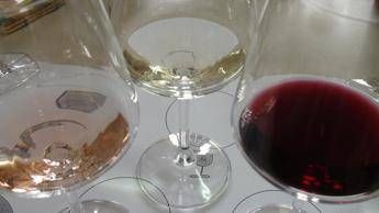 Francia, rubati vini per 400mila euro Francia, rubati vini per 400mila euro