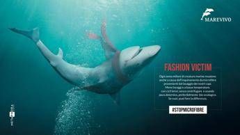Dalla lavatrice al mare, inquinamento anche da microfibre Dalla lavatrice al mare, inquinamento anche da microfibre