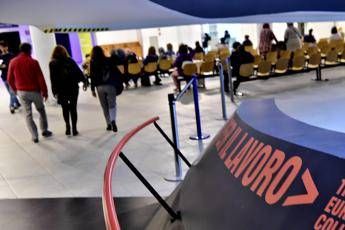 Diplomati e laureati, 2 mln di contratti di lavoro l’anno Diplomati e laureati, 2 mln di contratti di lavoro l’anno
