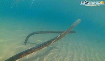 Mareamico: Pericoloso fare il bagno nel mare di San Leone Mareamico: Pericoloso fare il bagno nel mare di San Leone