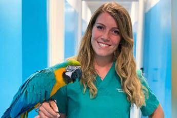 La passione di Martina: Così curo gli animali esotici La passione di Martina: Così curo gli animali esotici