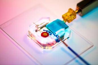 Creato occhio artificiale in 3D con cellule umane Creato occhio artificiale in 3D con cellule umane