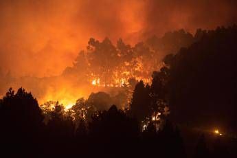 Incendio Gran Canaria, 5mila evacuati Incendio Gran Canaria, 5mila evacuati