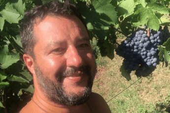 Da 'frittata' a 'Ursula', l'Abc della crisi Da 'frittata' a 'Ursula', l'Abc della crisi