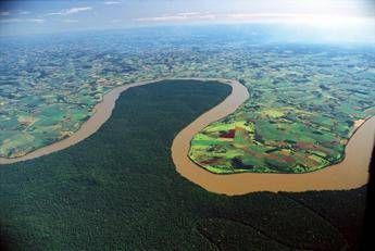 L'Amazzonia brucia, record di incendi