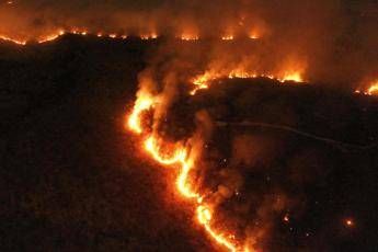 Amazzonia in fiamme, Trump offre aiuto a Bolsonaro Amazzonia in fiamme, Trump offre aiuto a Bolsonaro