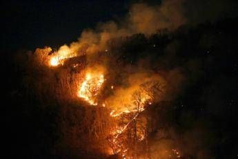 L'Amazzonia al G7, 20 milioni di dollari per l'emergenza L'Amazzonia al G7, 20 milioni di dollari per l'emergenza
