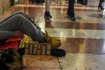 Botte al cane, clochard denunciato Botte al cane, clochard denunciato