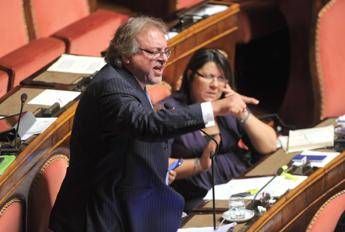 Alta tensione M5S al Senato, Giarrusso: Di Maio lasci tutti gli incarichi Alta tensione M5S al Senato, Giarrusso: Di Maio lasci tutti gli incarichi