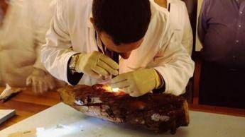Intervento unico di archeoantropologia su reperti ossei necropoli Intervento unico di archeoantropologia su reperti ossei necropoli