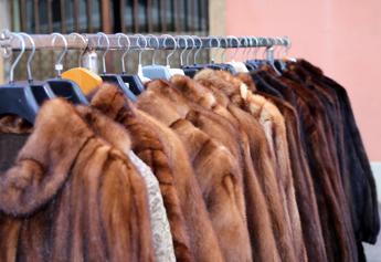 California 'fur-free', dal 2023 stop alle pellicce