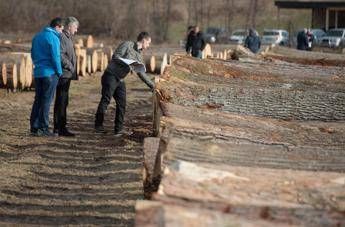 A Riva del Garda il 15 novembre 1° 'Forum italiano del legno'